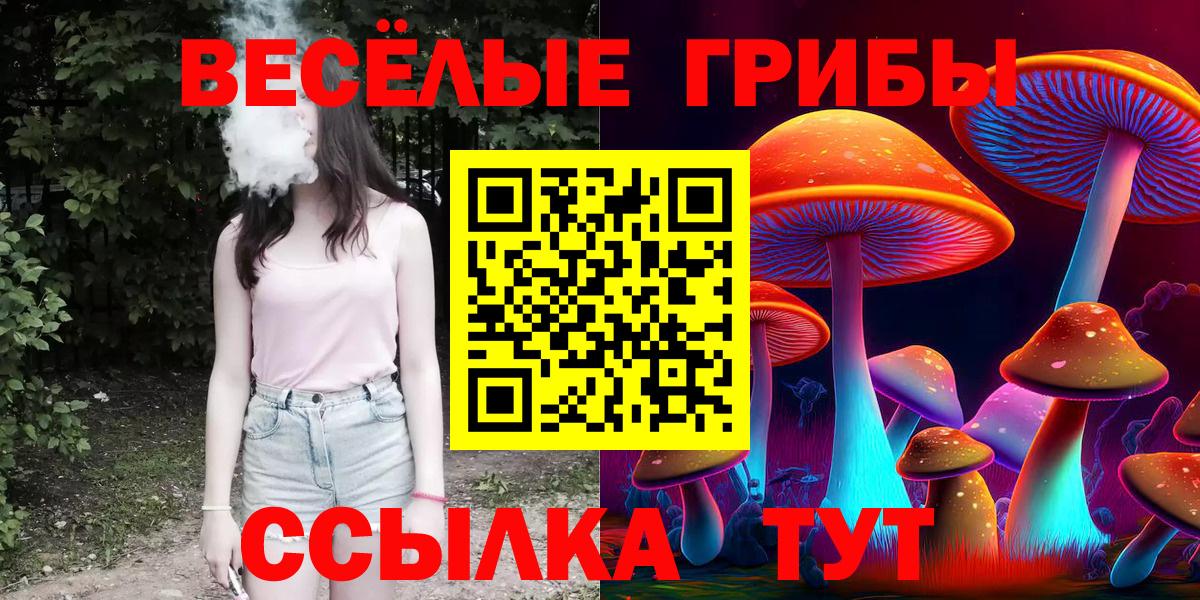 Псилоцибиновые грибы ЛСД  Вход с VPN  Галлюциногенные грибы прущие грибы  Норильск 