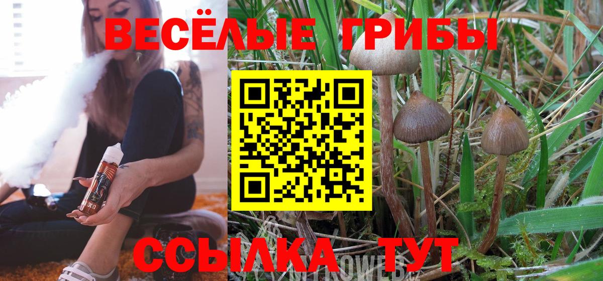 Псилоцибиновые грибы мухоморы Норильск